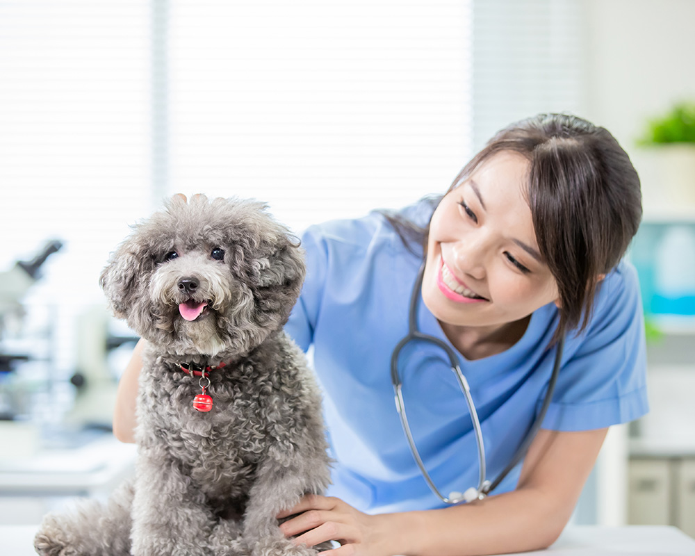 Veterinarian
